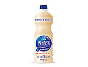 1.25L养动乐乳酸菌