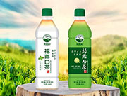 思路和福鼎白茶果味茶饮料460ml